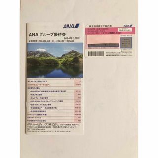 エーエヌエー(ゼンニッポンクウユ)(ANA(全日本空輸))のANA 株主優待　優待券　未使用　最新(その他)