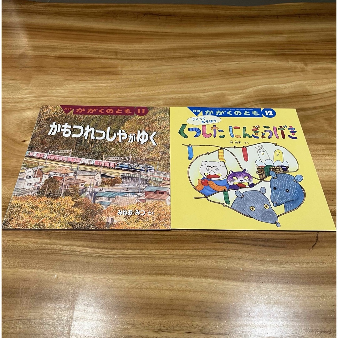 福音館書店(フクインカンショテン)の【美品】 月刊 かがくのとも 絵本 10冊 2020.06〜2021.03 エンタメ/ホビーの本(絵本/児童書)の商品写真