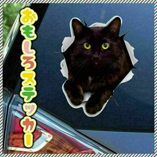 A010　黒猫　カーステッカー　おもしろステッカー　リアルキャット　可愛い(その他)