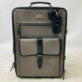 ロエベ(LOEWE)のLOEWE アナグラム 総柄 総ロゴ キャリーケース バッグ ボストン(トラベルバッグ/スーツケース)