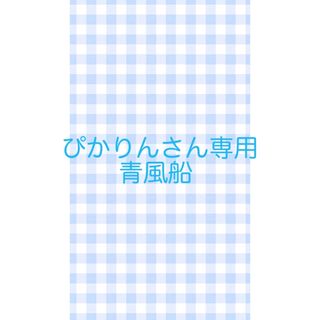 ぴかりんさん専用(その他)