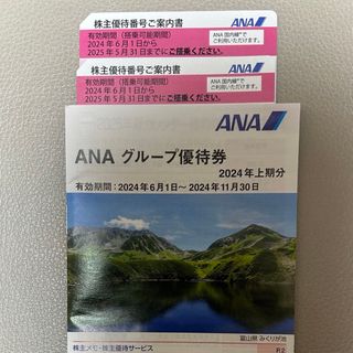 エーエヌエー(ゼンニッポンクウユ)(ANA(全日本空輸))の【最新】ANA株主優待券 2枚(その他)