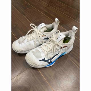 ミズノ(MIZUNO)のミズノ　バレー　シューズ　23.0(バレーボール)