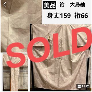 美品　袷　大島紬　生成り色　白大島　身丈159 裄66(着物)