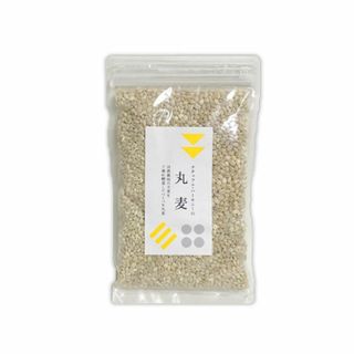 自然栽培 丸麦(200g)★無肥料・無農薬★昔ながらの麦ご飯で栄養豊富♪(米/穀物)