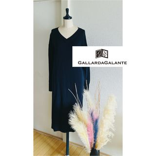 GALLARDA GALANTE - ガリャルダガランテ GALLARDAGALANTE ワンピース ネイビー ロング