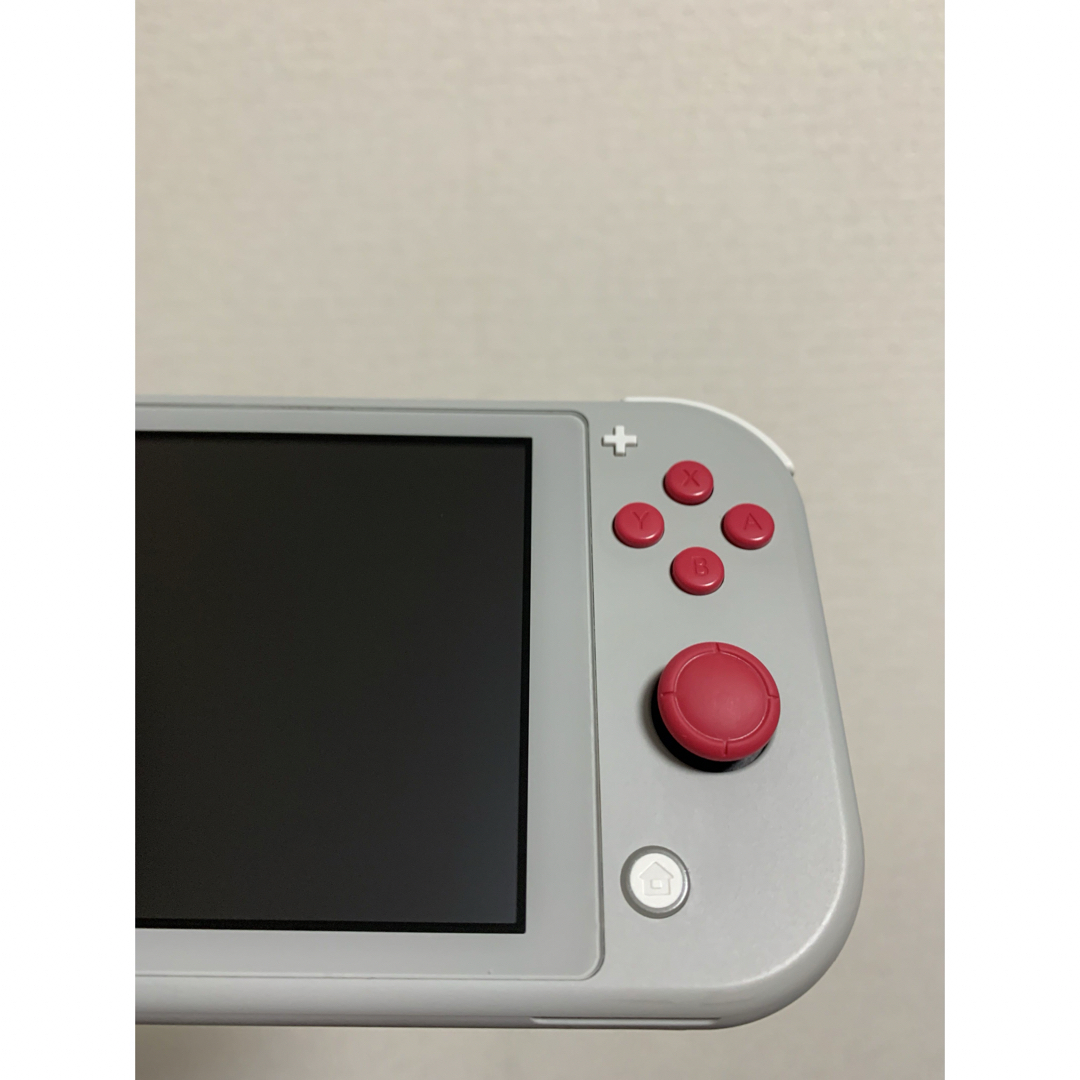 【美品】Switchライト本体 充電器 ザシアン ザマゼンタ おまけ付き♪ 【美品】Switchライト本体 充電器 ザシアン ザマゼンタ おまけ付き♪