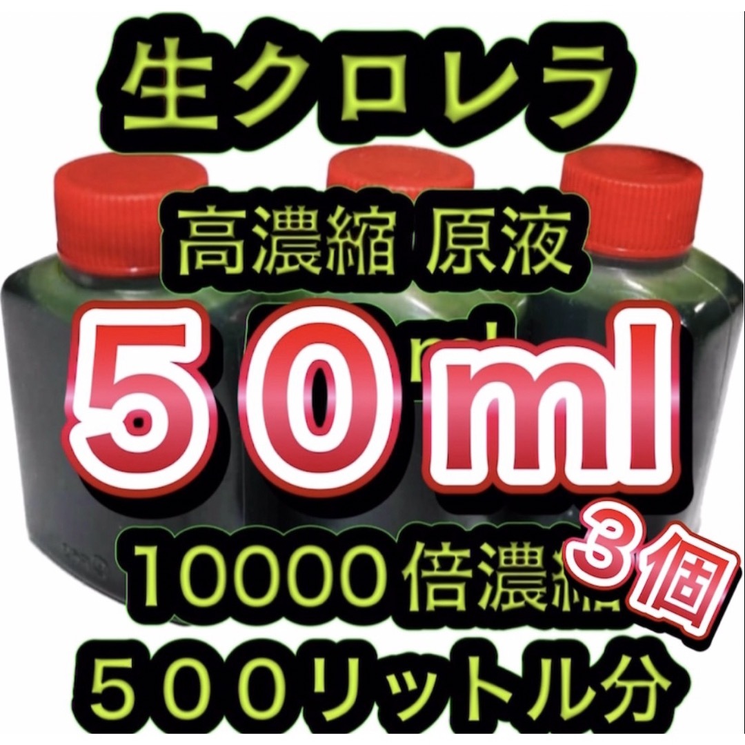 ★高濃縮】生クロレラ原液50 メダカの飼育 psb 金魚 熱帯魚 稚魚の水 その他のペット用品(アクアリウム)の商品写真