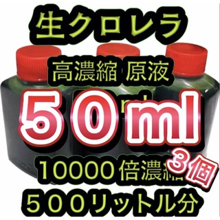 ★高濃縮】生クロレラ原液50 メダカの飼育 psb 金魚 熱帯魚 稚魚の水