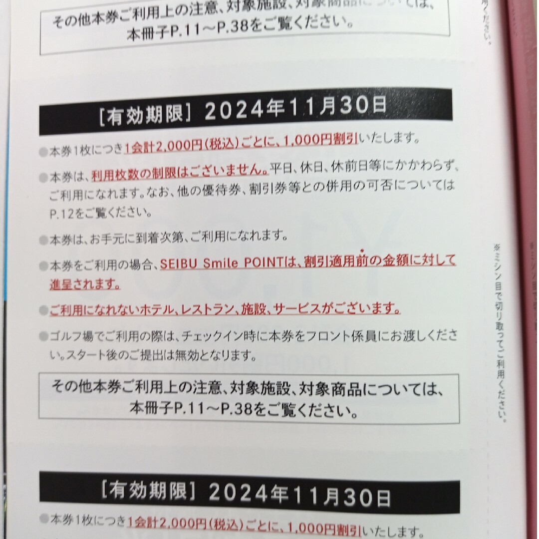 西武ホールディングス 株主優待券 共通割引券10000円分等【ﾗｸﾏﾊﾟｯｸ】 チケットの優待券/割引券(その他)の商品写真