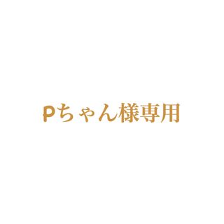 Pちゃん様専用(ペットフード)