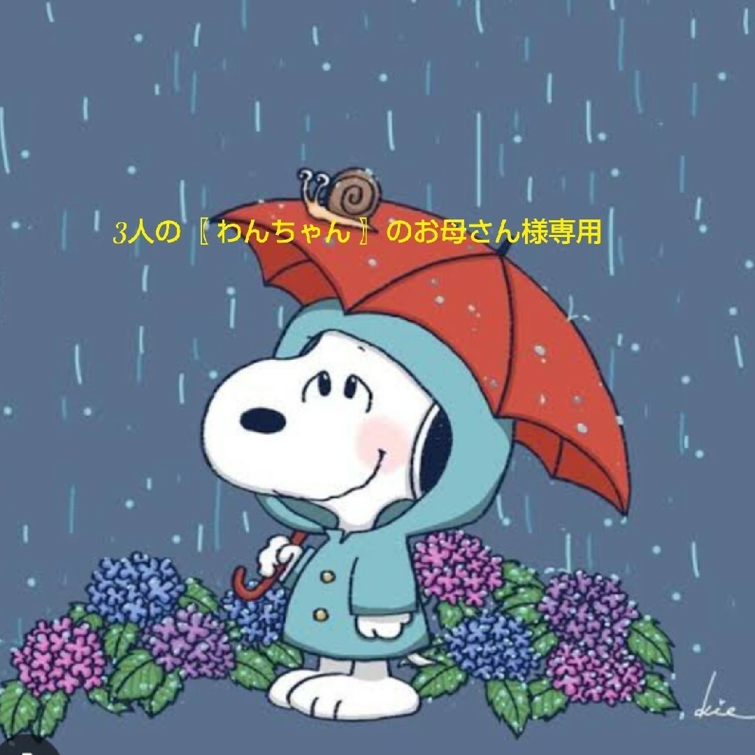 SNOOPY(スヌーピー)のスヌーピーミニクリアポケット エンタメ/ホビーのおもちゃ/ぬいぐるみ(キャラクターグッズ)の商品写真