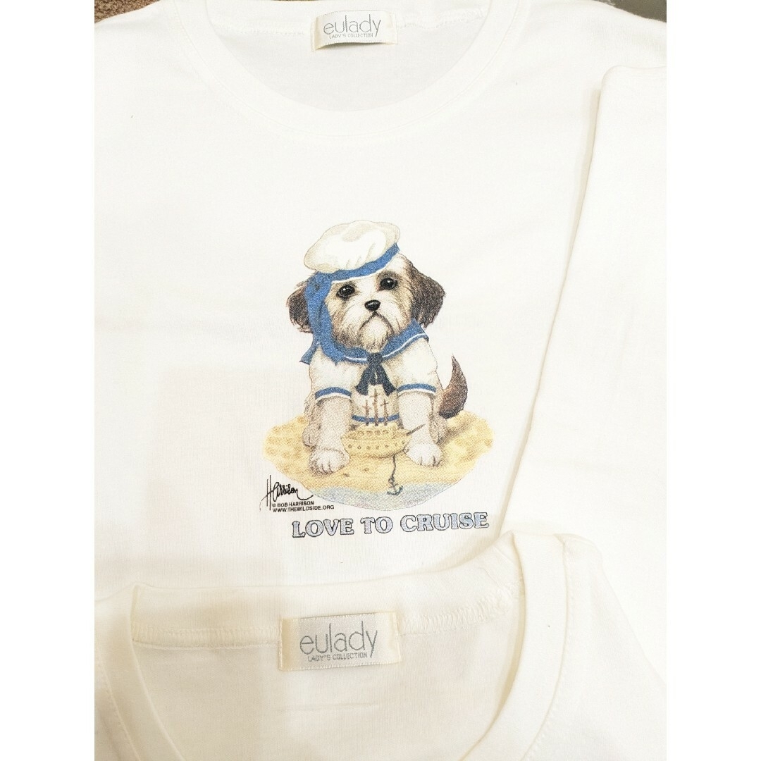 レディースＴシャツ　３枚セット レディースのトップス(Tシャツ(半袖/袖なし))の商品写真