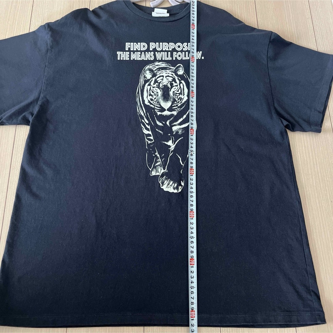 Shinzone(シンゾーン)のシンゾーン Shinzone TIGER オーバーサイズ チャコールグレー レディースのトップス(Tシャツ(半袖/袖なし))の商品写真