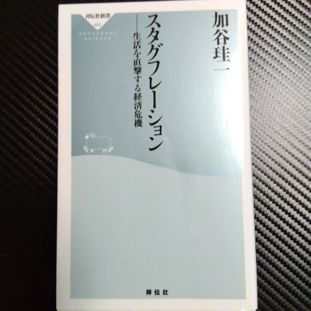 スタグフレーション　生活を直撃する経済危機 エンタメ/ホビーの本(その他)の商品写真