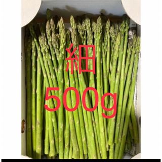 アスパラ　細500g アスパラガス(野菜)