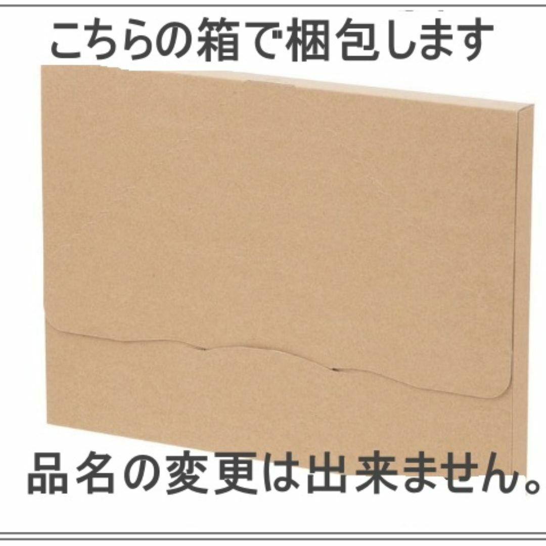 100★E75 L★脇高調ブラショーツセット フラワーガーデン 緑 レディースの下着/アンダーウェア(ブラ&ショーツセット)の商品写真