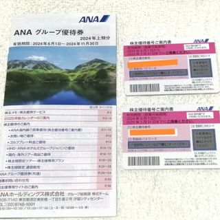 エーエヌエー(ゼンニッポンクウユ)(ANA(全日本空輸))のANA株主優待券【2枚】(その他)