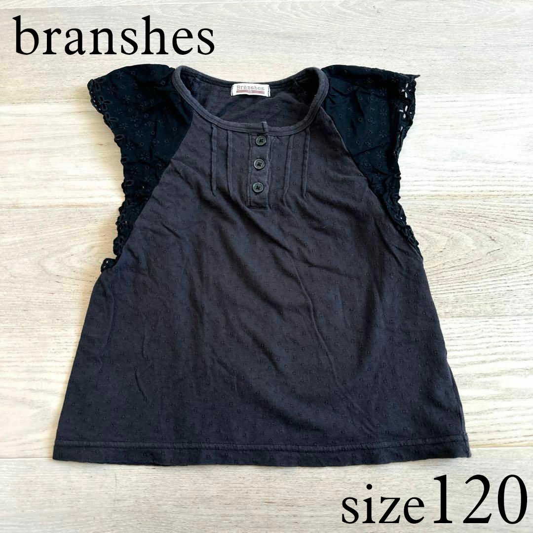 Branshes(ブランシェス)のbranshes　肩レース　半袖カットソー　120 キッズ/ベビー/マタニティのキッズ服女の子用(90cm~)(Tシャツ/カットソー)の商品写真