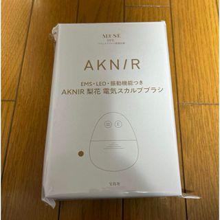 オトナミューズ 2024年5月号 梨花監修 AKNIR 電気スカルプブラシ(その他)