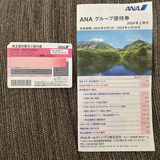 エーエヌエー(ゼンニッポンクウユ)(ANA(全日本空輸))のANA 株主優待番号、グループ優待券(その他)