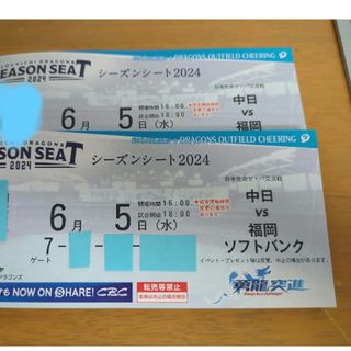 中日ドラゴンズ - 2024.6.5(水)中日ドラゴンズVS福岡ソフトバンク戦