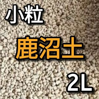 鹿沼土 硬質 小粒 約2L(その他)