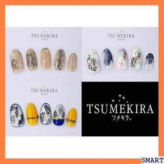 ☆大人気_Z049 TSUMEKIRA ツメキラ ネイルシ 1シート x 320(その他)