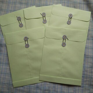 オキナ(okina)の保存袋 ５枚 オキナ(オフィス用品一般)