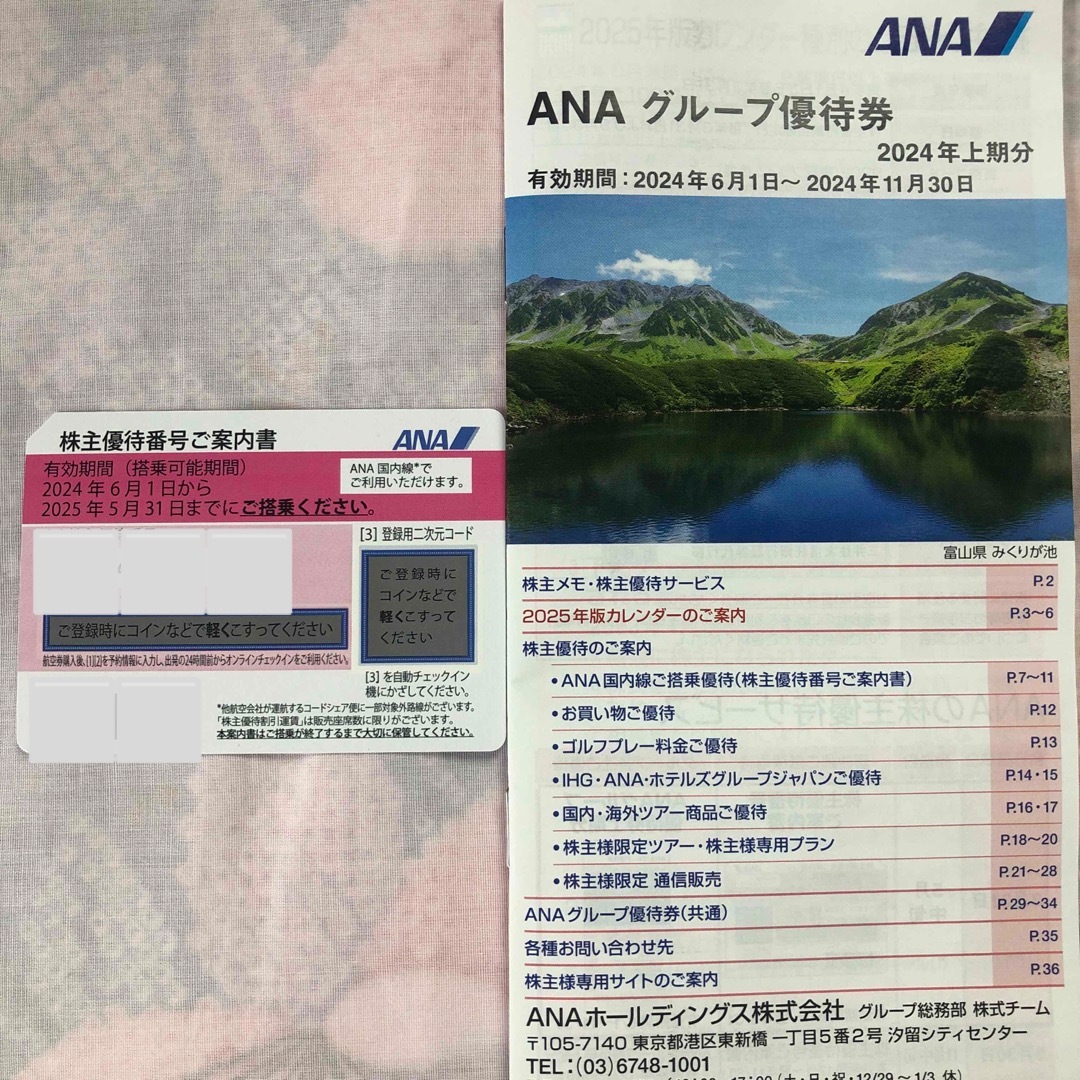 ANA(全日本空輸)(エーエヌエー(ゼンニッポンクウユ))の◆ANA株主優待券_最新版 チケットの乗車券/交通券(航空券)の商品写真