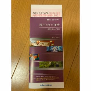 最新版　西武ホールディングス　株主優待　500株以上　西武ライオンズ(その他)