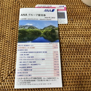 エーエヌエー(ゼンニッポンクウユ)(ANA(全日本空輸))のANA 株主優待(航空券)