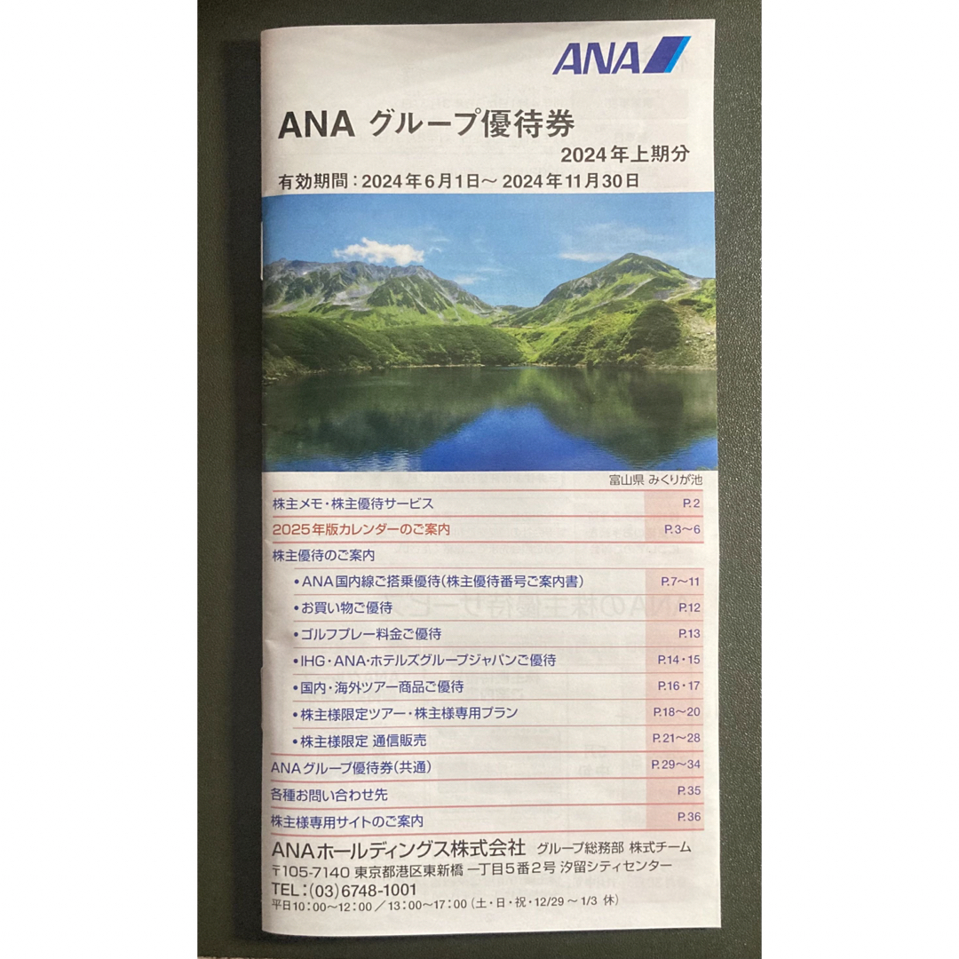 ANA(全日本空輸)(エーエヌエー(ゼンニッポンクウユ))のANA (全日空)株主優待券一式 チケットの乗車券/交通券(航空券)の商品写真