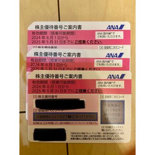 ANA株主優待券3枚(航空券)