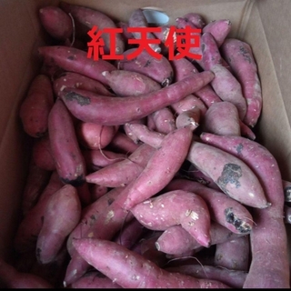 B級品 紅天使　約1キロ　S~M 芋屋のサツマイモ(野菜)