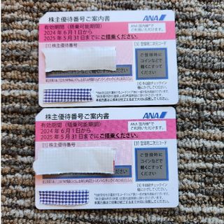 エーエヌエー(ゼンニッポンクウユ)(ANA(全日本空輸))のANA 株主優待券 2枚(その他)