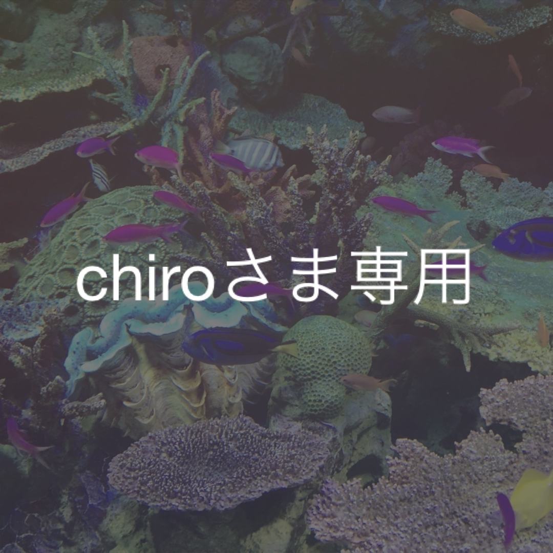 chiroさま専用 ハンドメイドのアクセサリー(ピアス)の商品写真