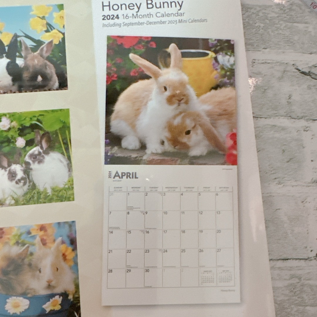 2024年 うさぎ カレンダー/ブラウントラウト　癒し　かわいい　英語 その他のペット用品(小動物)の商品写真