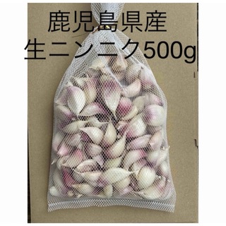 鹿児島県産生ニンニク500g(野菜)