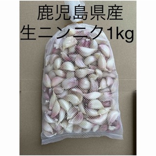 鹿児島県産生ニンニク1kg(野菜)