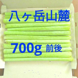 山菜・八ヶ岳山麓・天然ふき・フキ・農薬・肥料不使用(野菜)