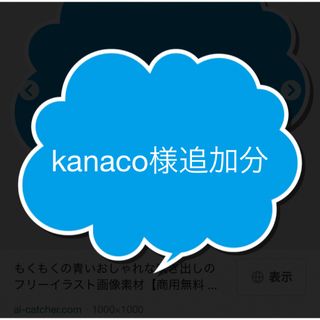 kanaco様追加分(車外アクセサリ)