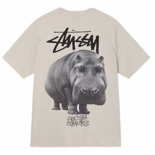 ステューシー(STUSSY)の新品 Stussy ステューシー  サイズXL Tシャツ  [並行輸入品](Tシャツ/カットソー(半袖/袖なし))