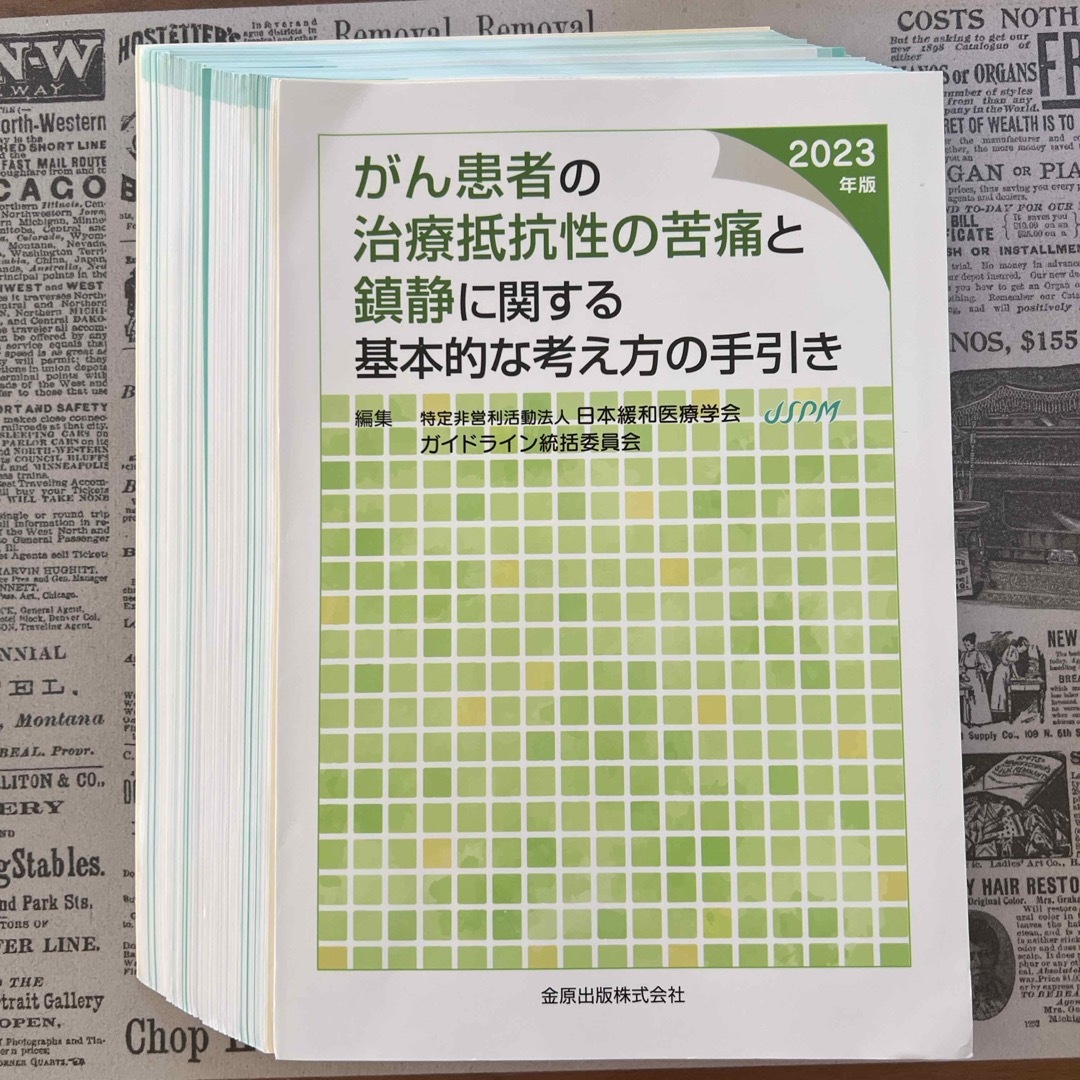 がん患者の治療抵抗性の苦痛と鎮静に関する基本的な考え方の手引き エンタメ/ホビーの本(健康/医学)の商品写真