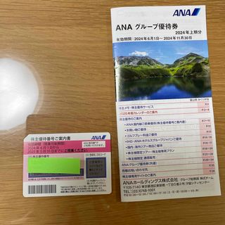 エーエヌエー(ゼンニッポンクウユ)(ANA(全日本空輸))のANA株主優待(航空券)