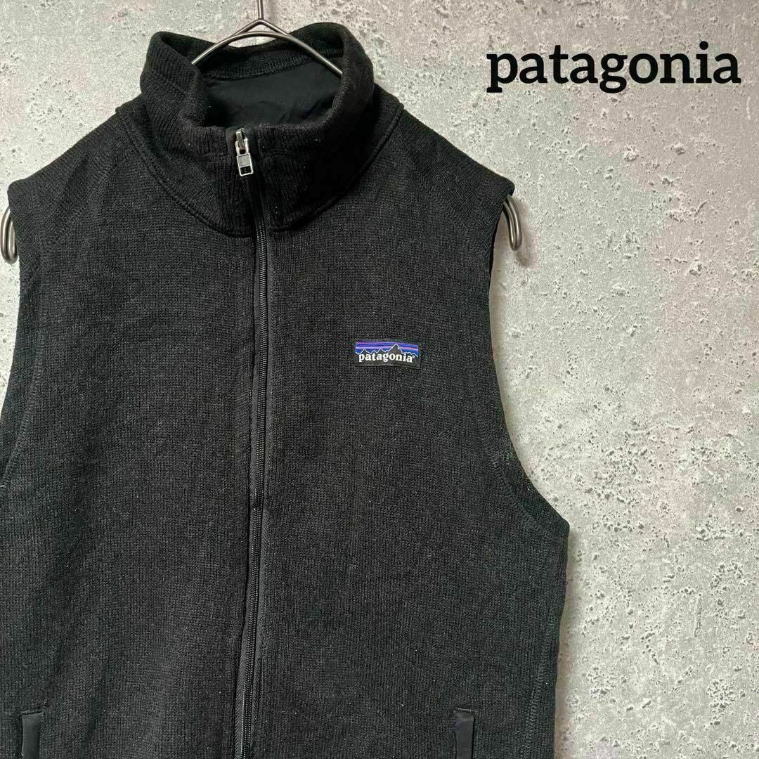 patagonia(パタゴニア)のpatagonia パタゴニア ベスト フリース ワンポイント シンプル S レディースのトップス(ベスト/ジレ)の商品写真