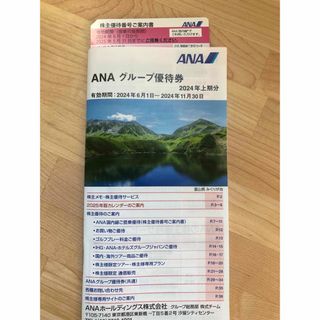 エーエヌエー(ゼンニッポンクウユ)(ANA(全日本空輸))のANA 優待券(航空券)