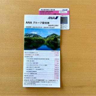 エーエヌエー(ゼンニッポンクウユ)(ANA(全日本空輸))のANA 株主優待1枚(航空券)