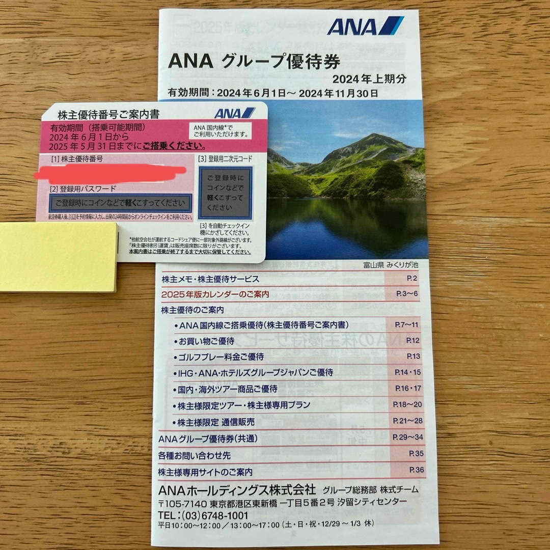 ANA(全日本空輸)(エーエヌエー(ゼンニッポンクウユ))のANA株主優待 チケットの乗車券/交通券(航空券)の商品写真