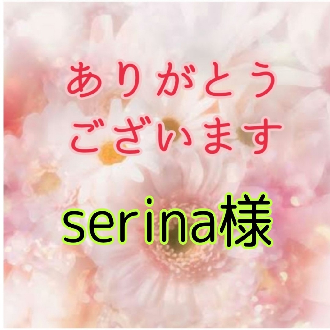 serina様 食品/飲料/酒の食品(菓子/デザート)の商品写真